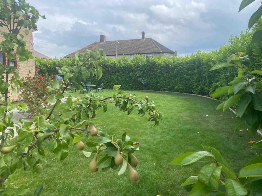 Lovely 1 Bed Studio Apartment With Free Parking Oxford Exteriör bild